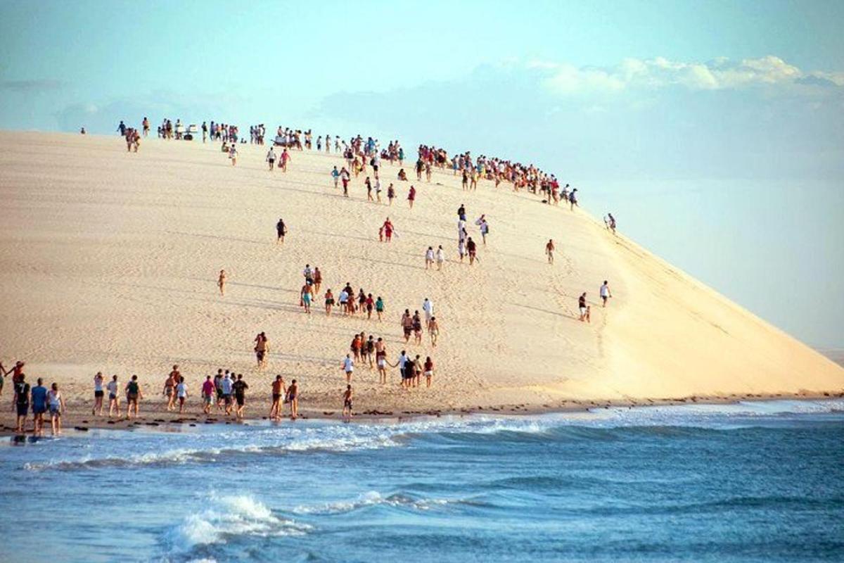 a large group of people on a sandy beach