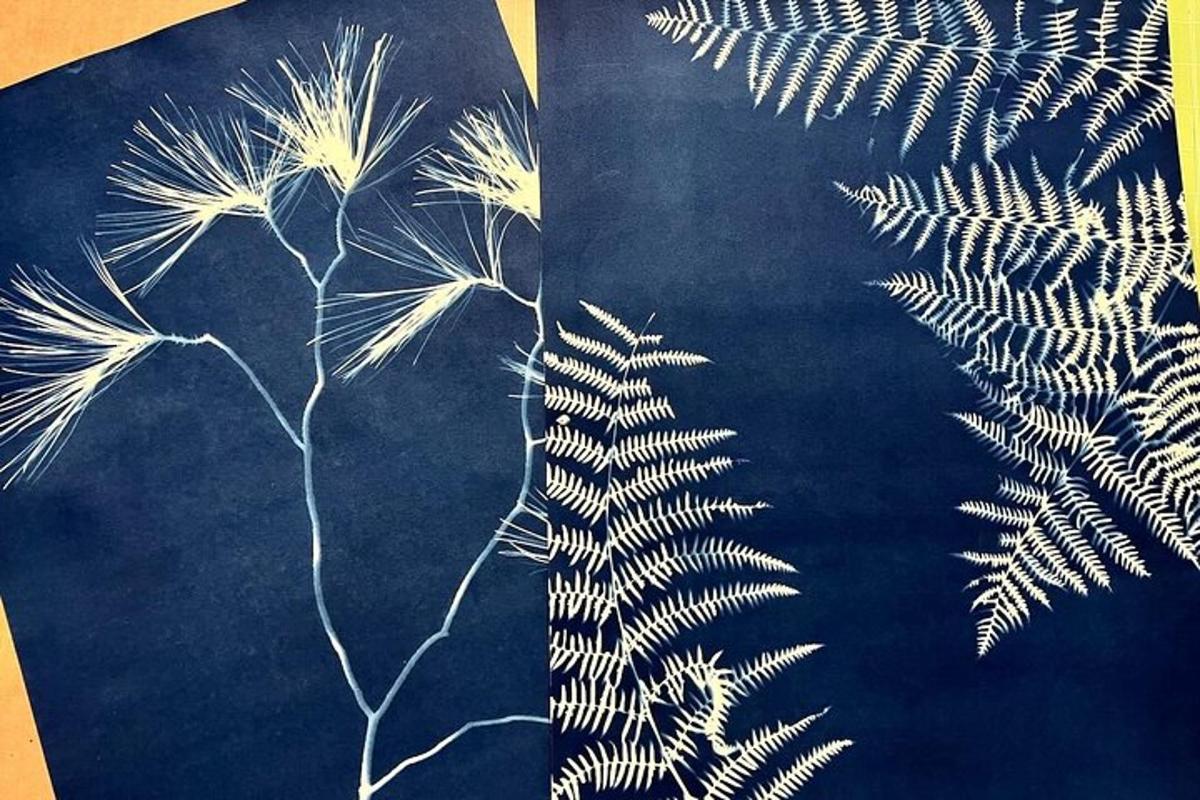 um desenho de uma planta em um fundo azul