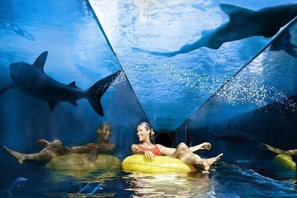 a couple of people in the water in an aquarium