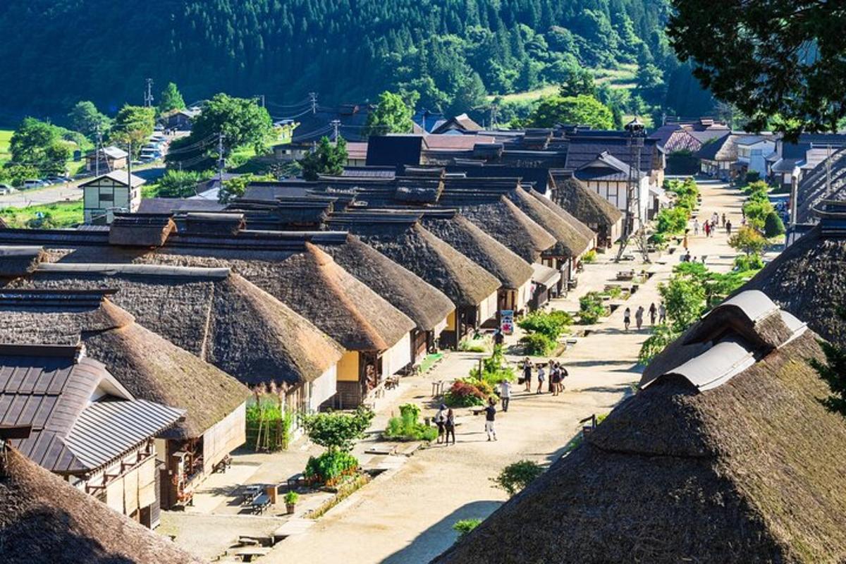 an aerial view of a village with thatched roofs