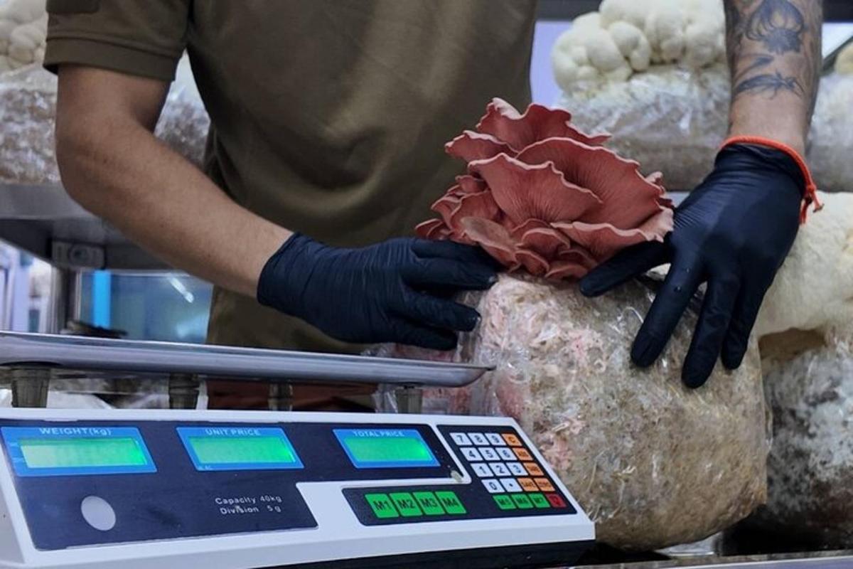 um homem está segurando uma flor em uma rocha