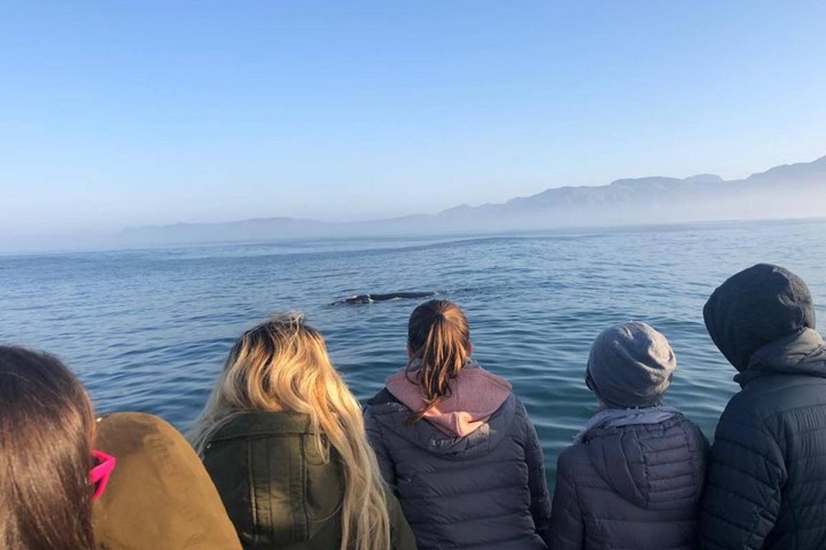 Un grupo de personas observando una ballena en el agua.