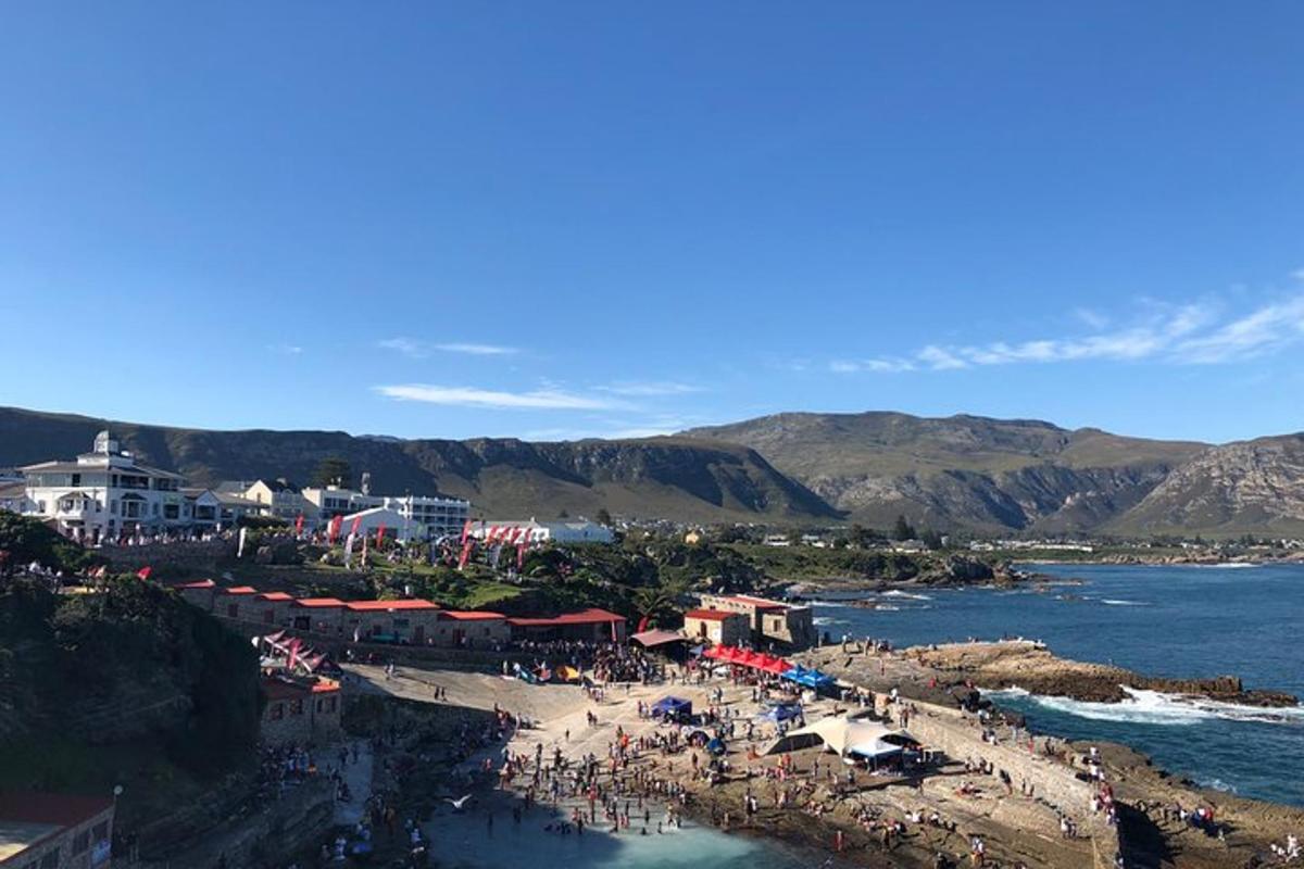 un grupo de personas en una playa cerca del agua