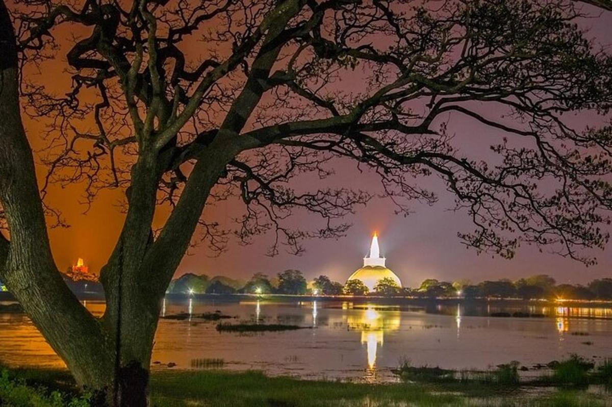 Un edificio iluminado en un lago con un árbol.