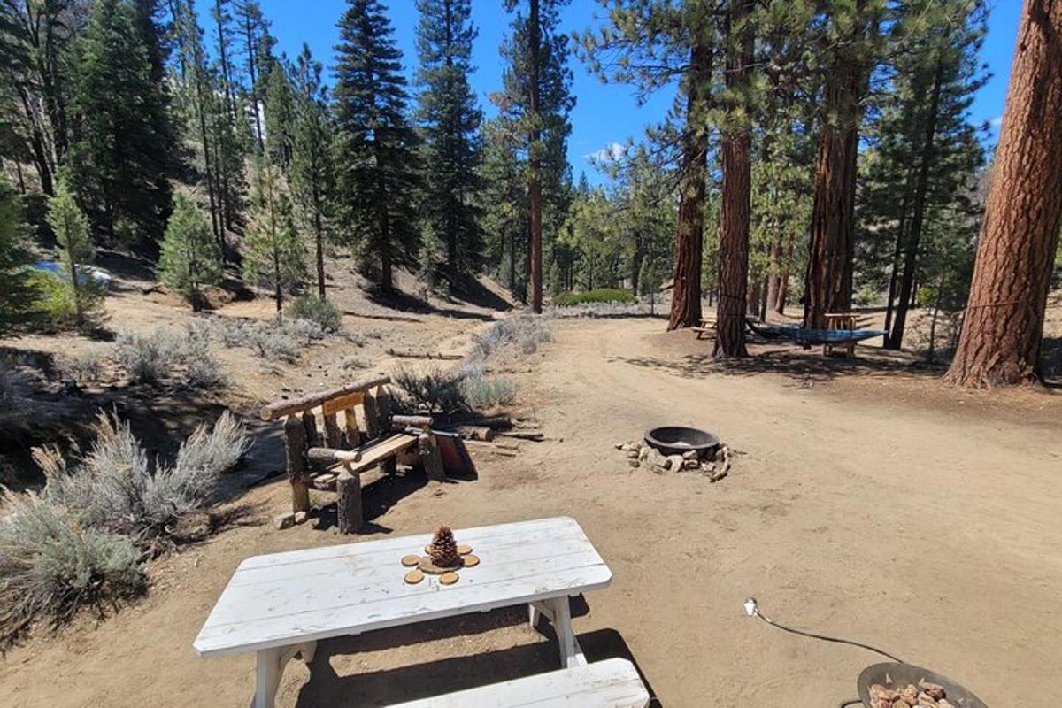 a picnic table and a grill in the middle of a forest