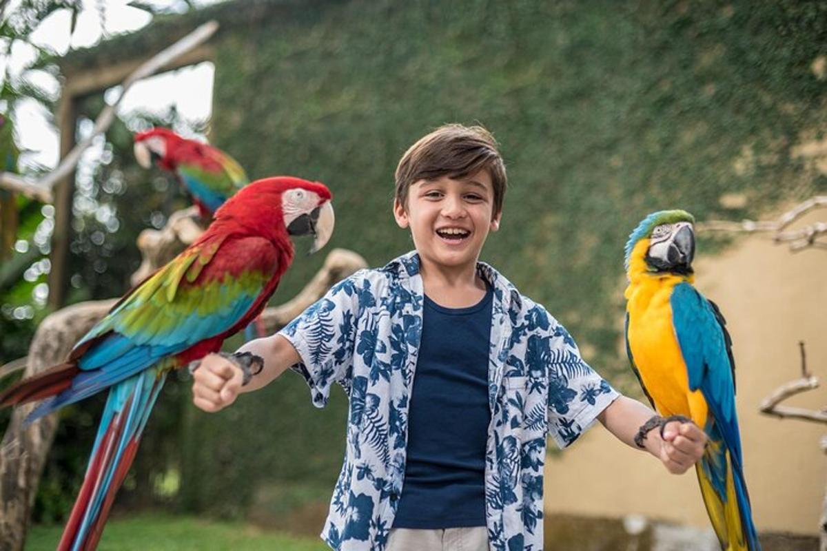 a young boy holding two birds on his arms
