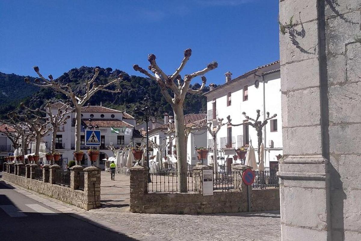 uma cerca em uma cidade com árvores e edifícios