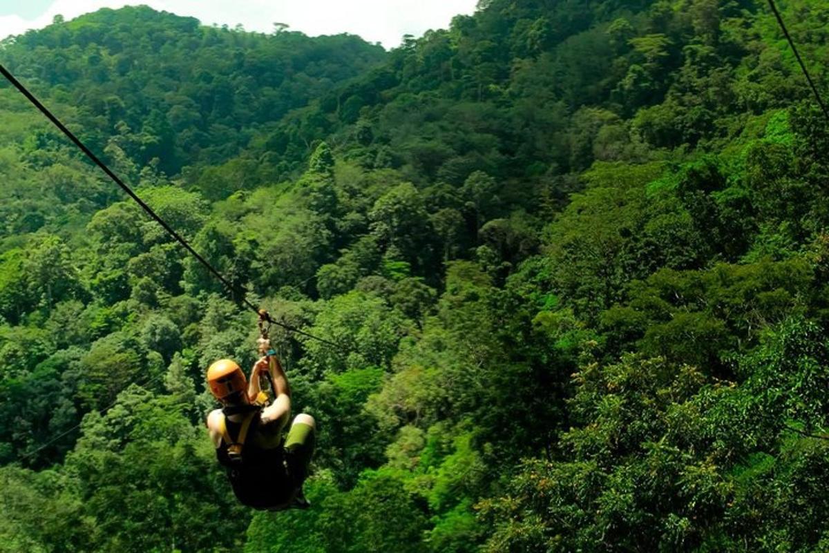 en person på en zipline i skogen