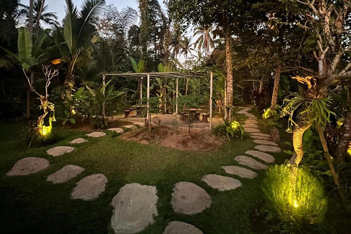 un jardí de nit amb roques a l'herba