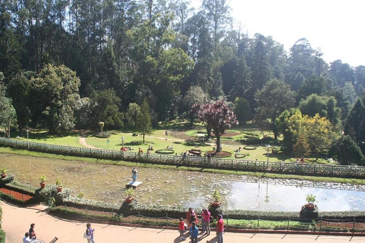 a group of people walking around a pond in a park