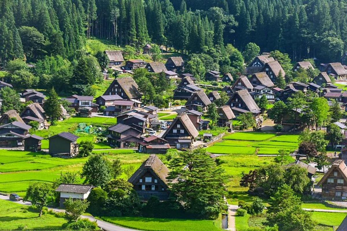 a village in the mountains with green grass and houses