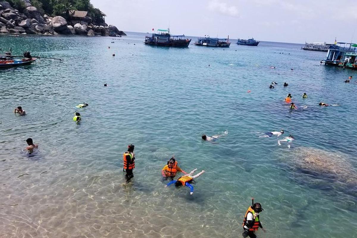 un gruppo di persone in acqua su una spiaggia