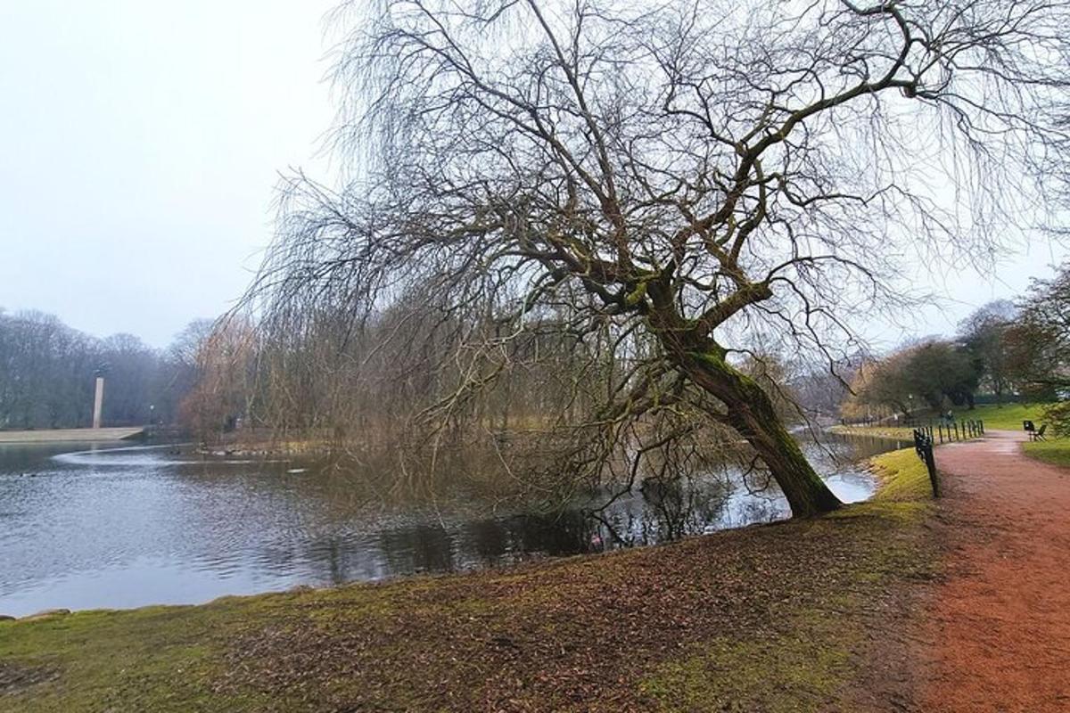 un árbol sentado al lado de un río