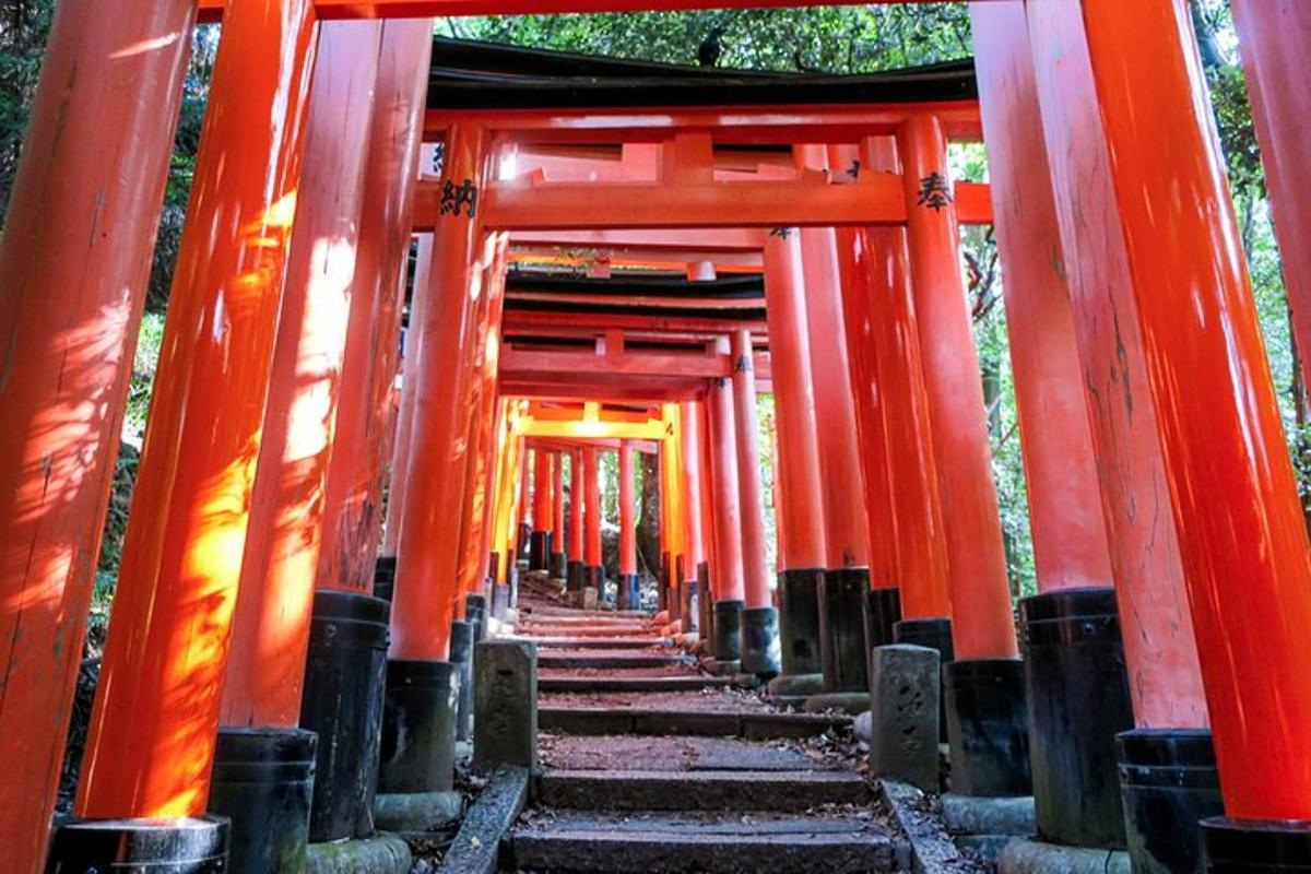 un rând de porți torii portocalii într-un templu
