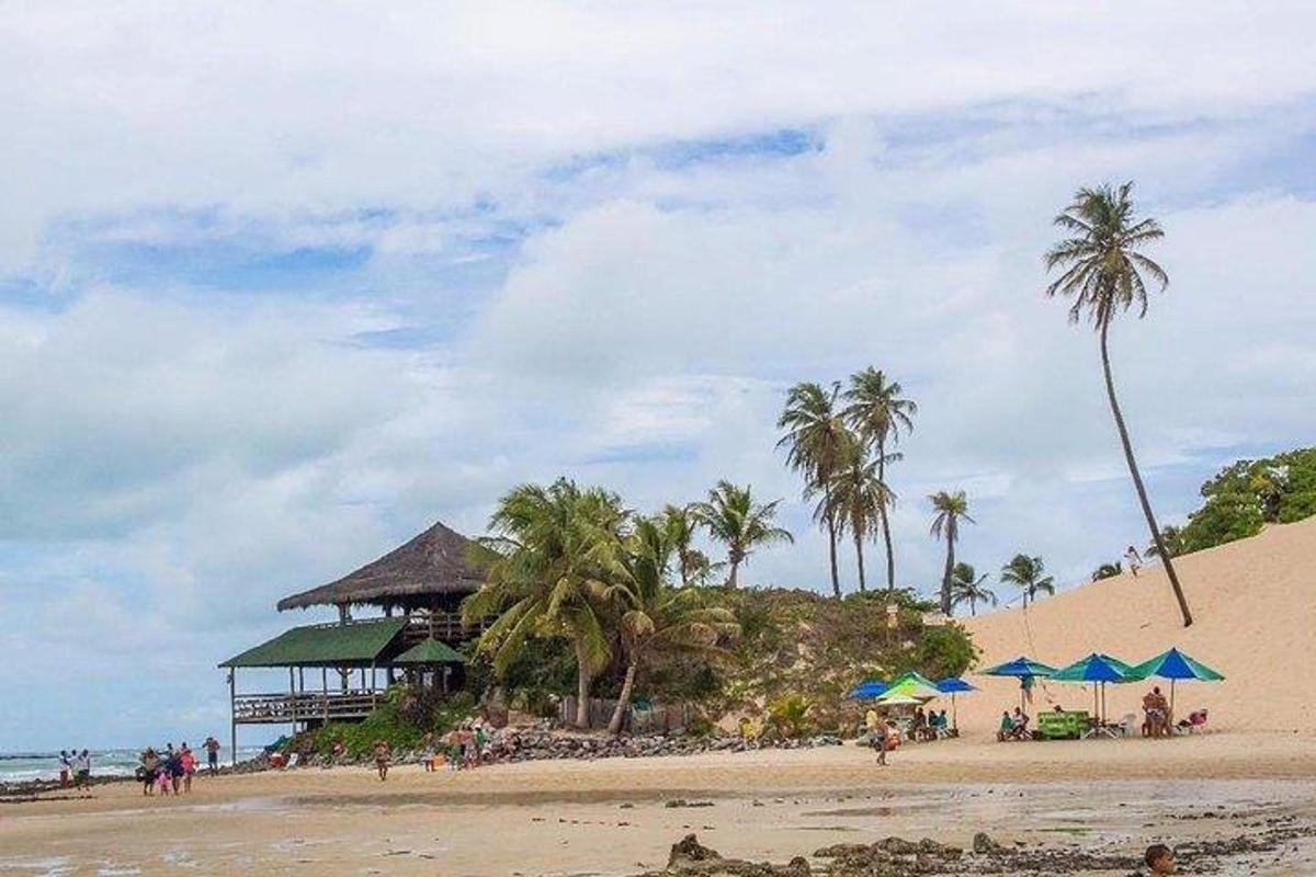 a beach with palm trees and a pavilion on the beach