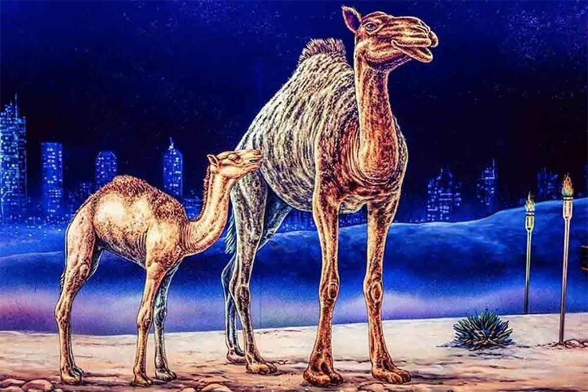 صورة رقم 1 للمعلم السياحي