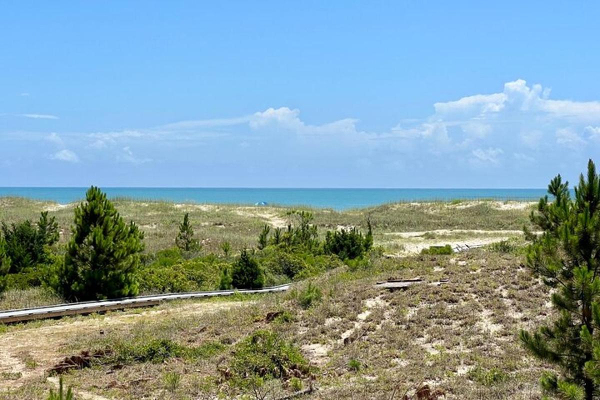 a road in a field with the ocean in the background