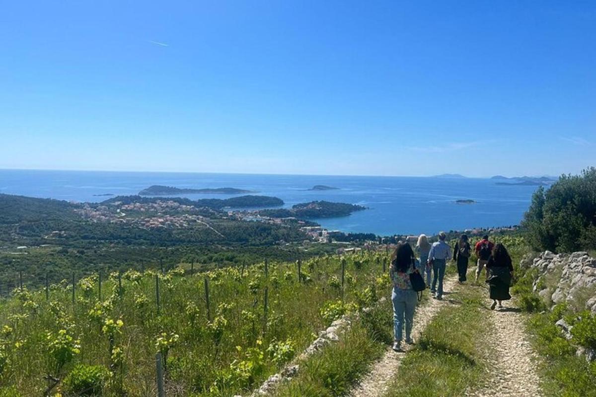 a group of people walking down a path on a hill