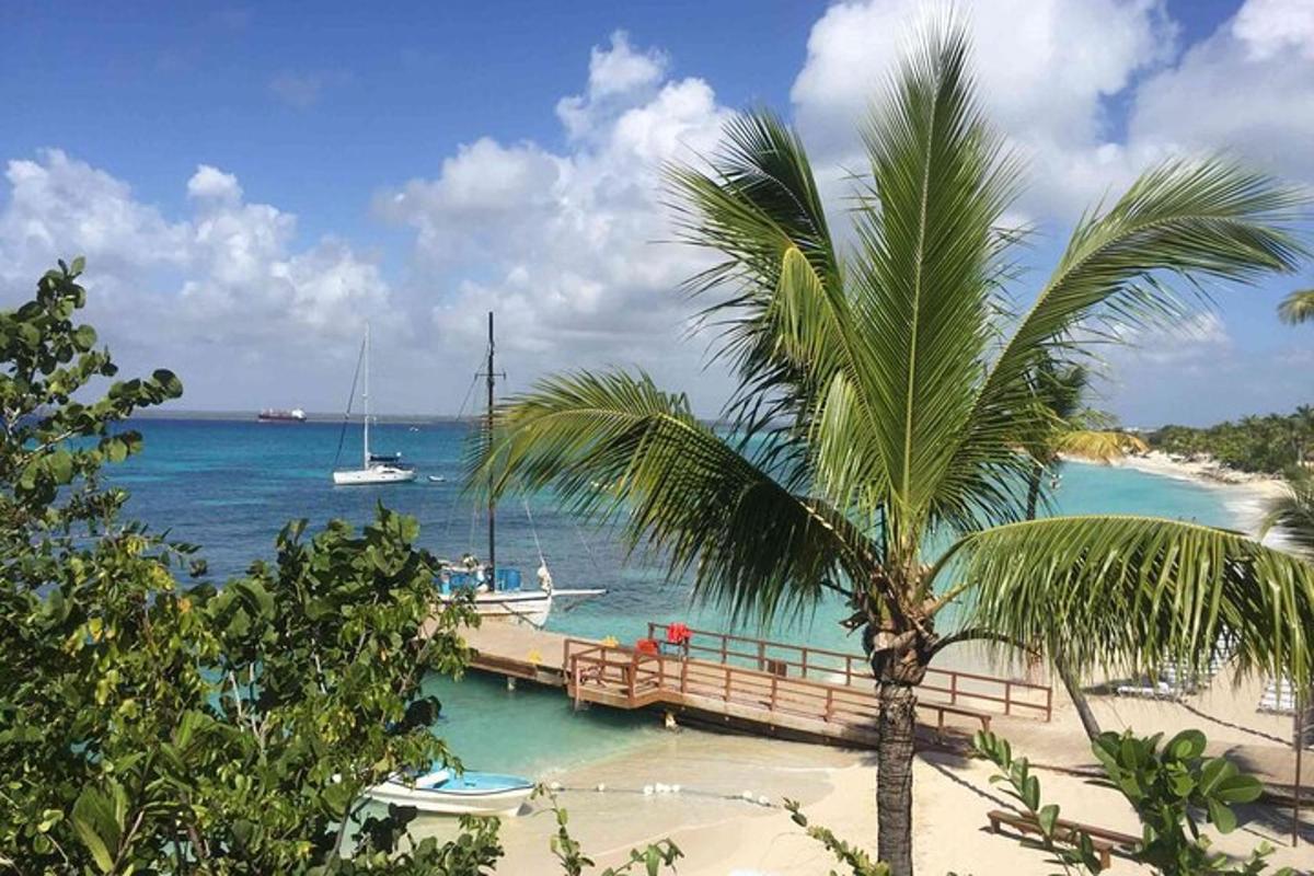 a palm tree on a beach with boats in the water
