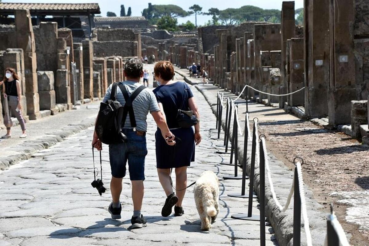 two people walking a dog down a street