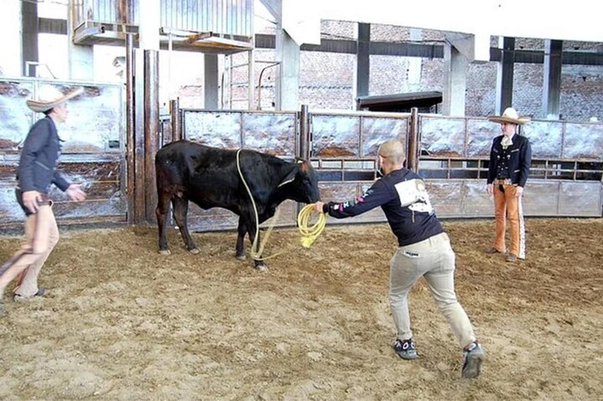una donna tiene in mano una mucca con una racchetta