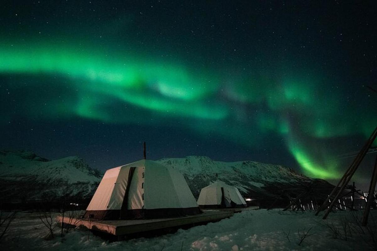 a group of tents under the northern lights in the sky
