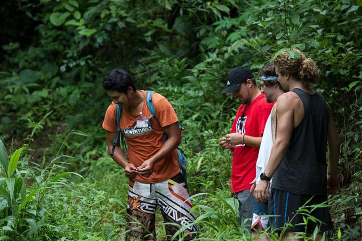 a group of men standing in a forest