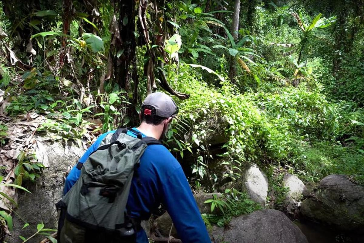 seorang pria berjalan menyusuri jalan setapak di hutan