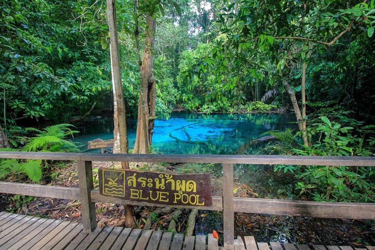 uma placa em frente a uma piscina azul em uma floresta
