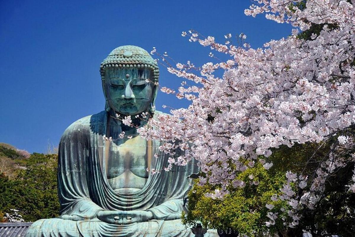 o statuie mare a lui Buddha Aitating cu un copac înflorit