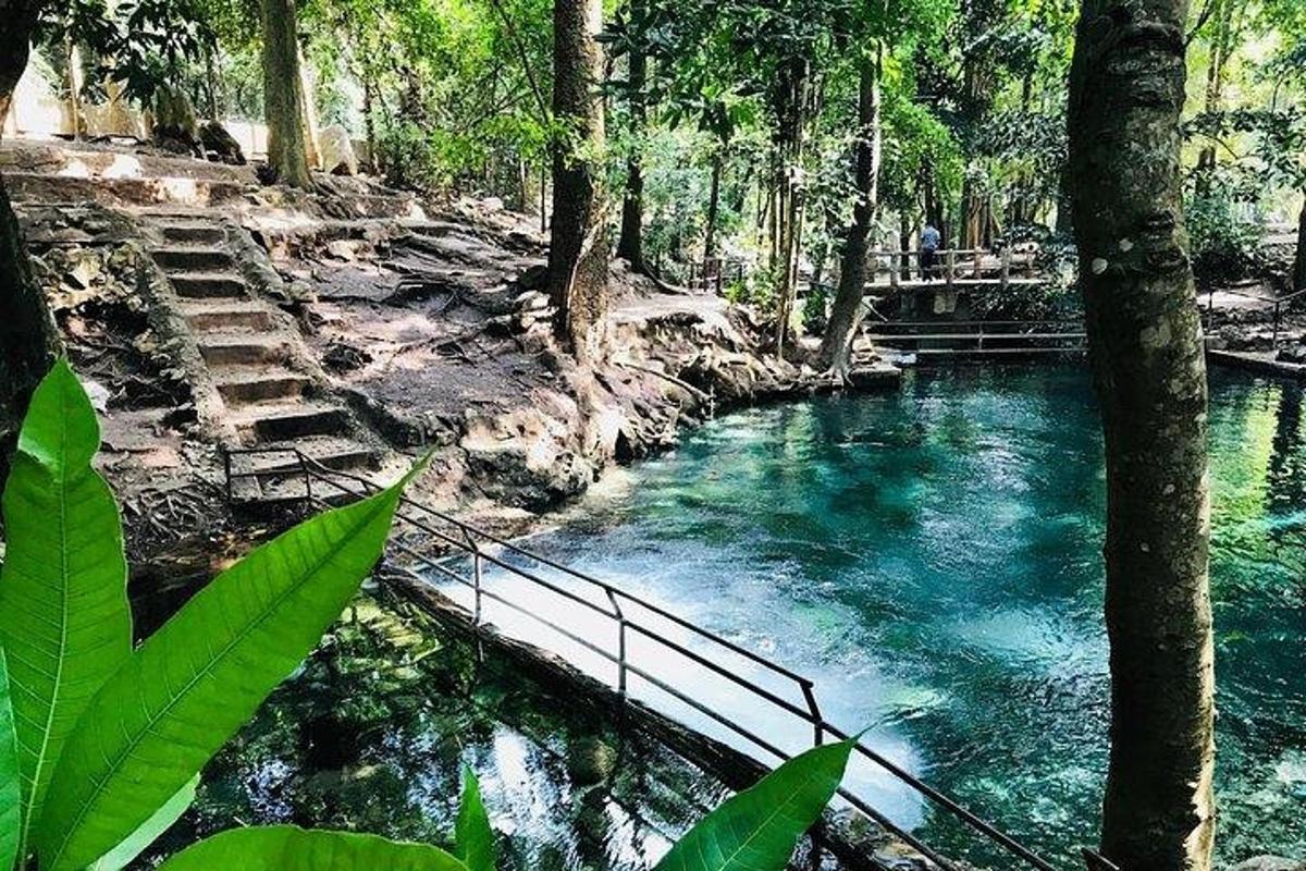 uma piscina de água azul em uma floresta com árvores