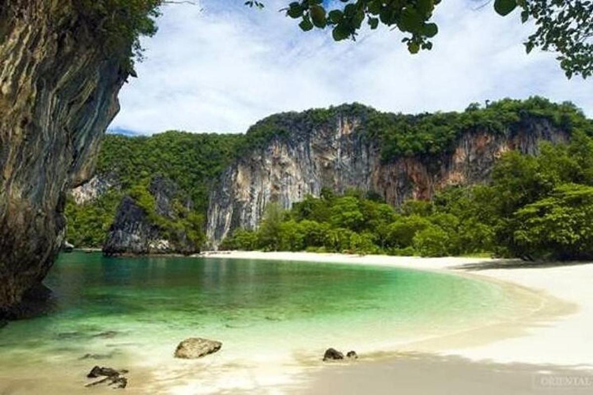una spiaggia con acqua verde, rocce e alberi