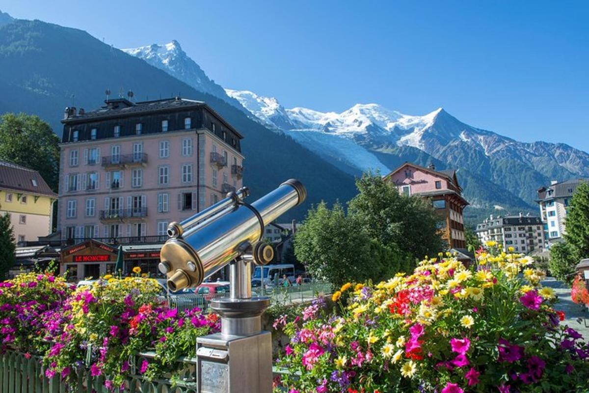 a view of a city with flowers and a telescope