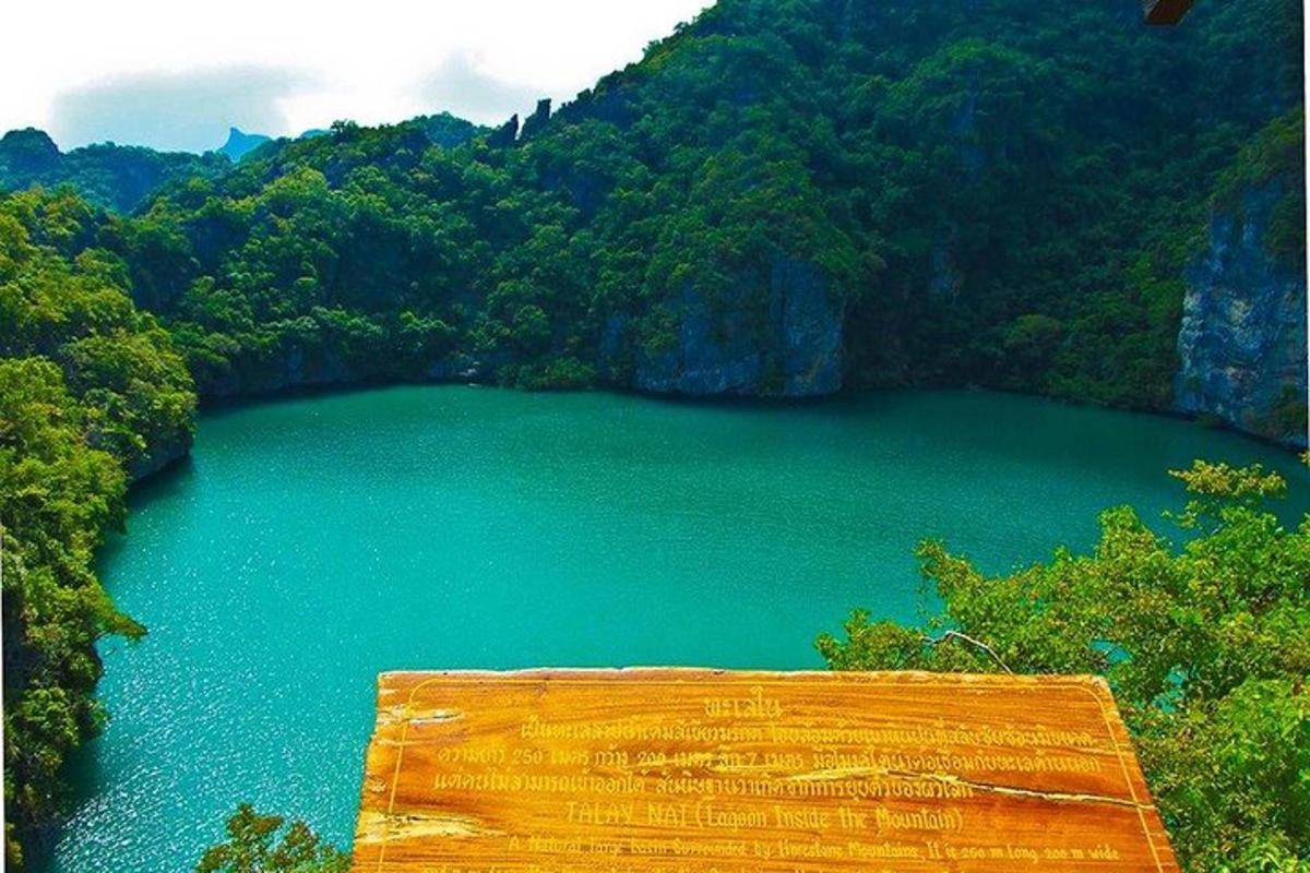 Una vista de un gran lago azul en un bosque.