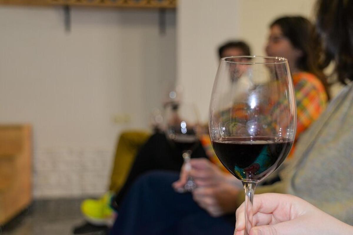 a person holding up a glass of red wine