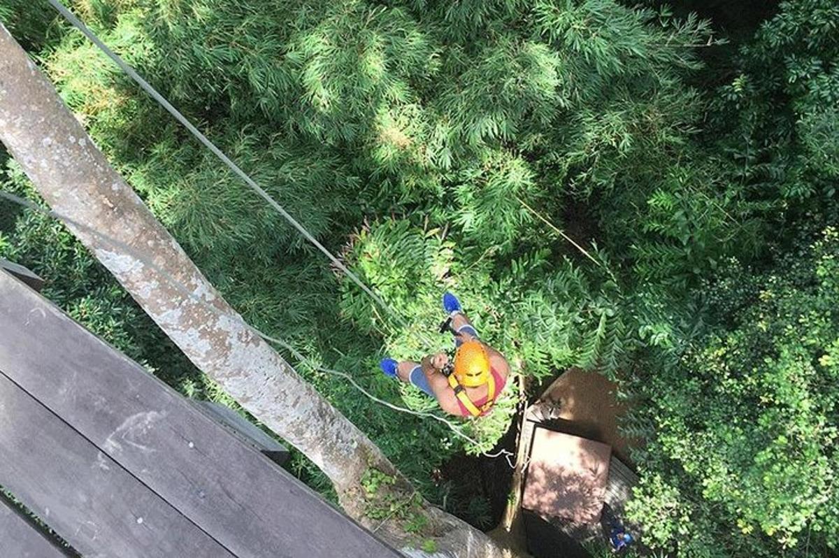 skats no augšas uz cilvēku, kas strādā zālē