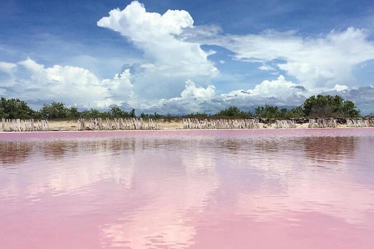 badan air berwarna merah muda dengan pagar di latar belakang