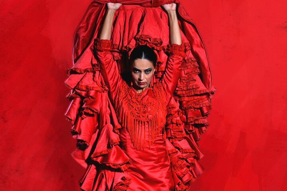 a woman in a red dress hanging on a red wall