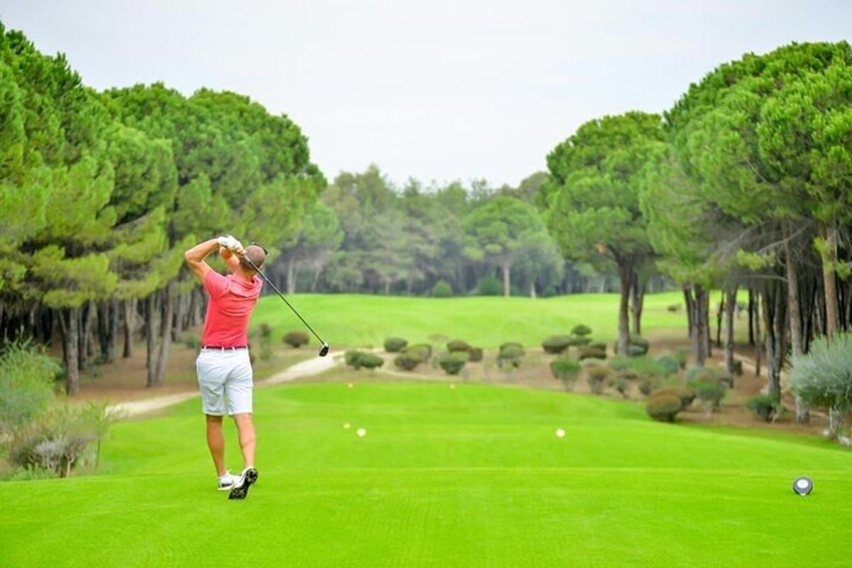 un bărbat care leagănă o crosă de golf pe un teren de golf