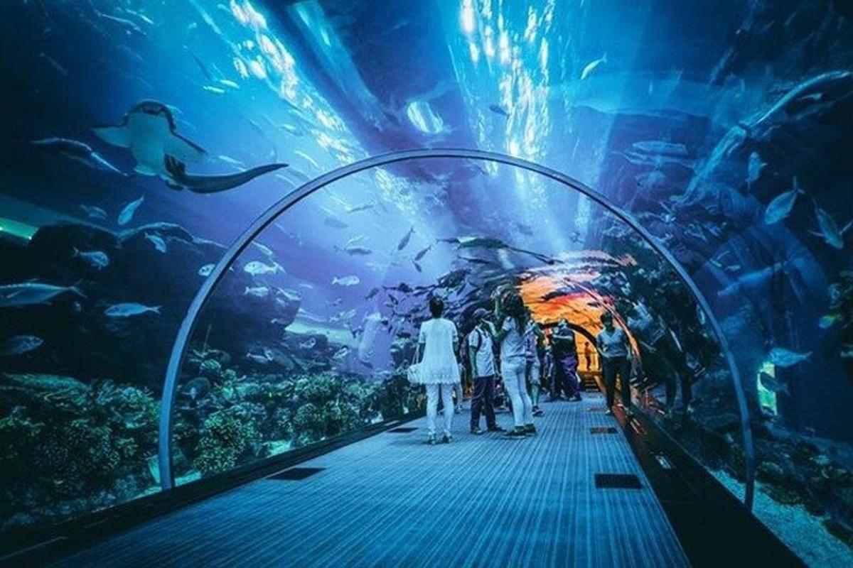 a group of people looking at an aquarium