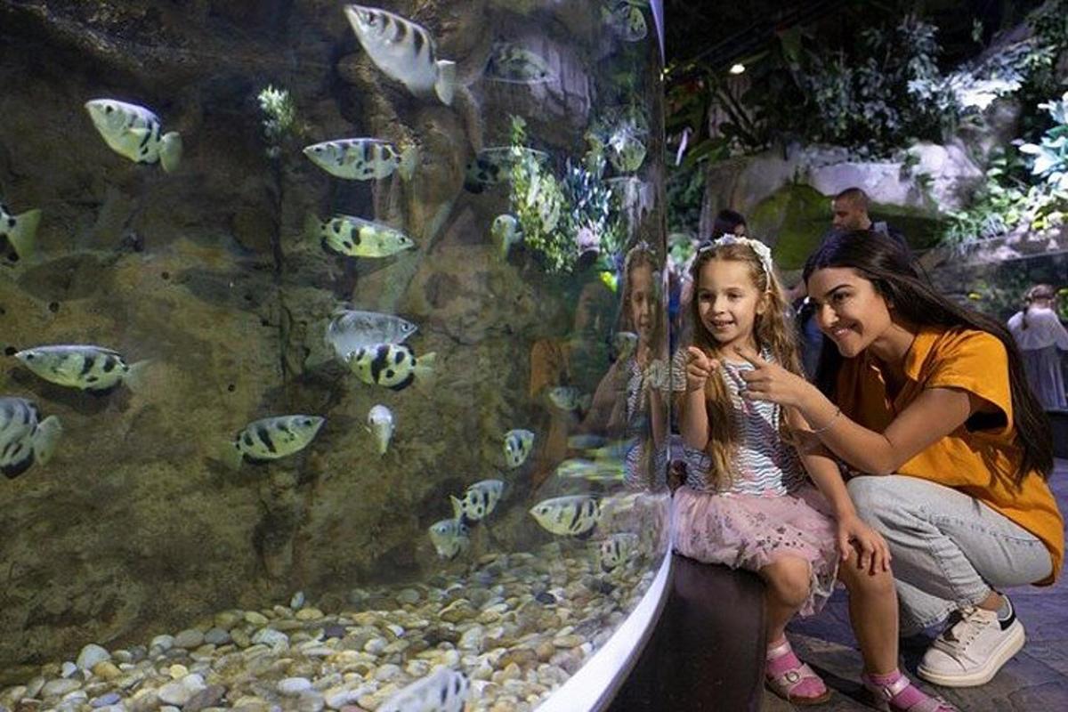 a woman and a little girl looking at fish in an aquarium