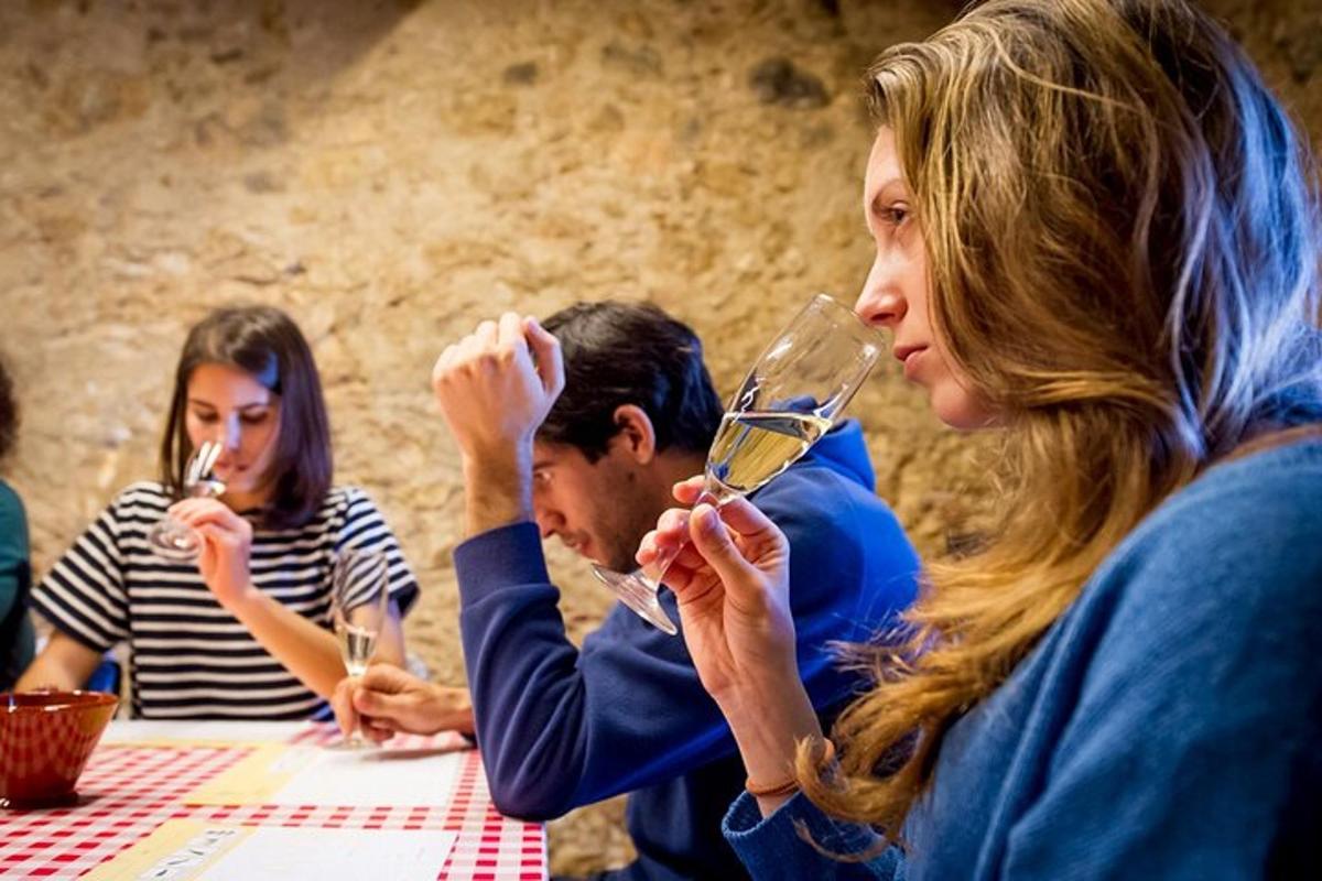 un grup de persones assegudes a una taula bevent vi