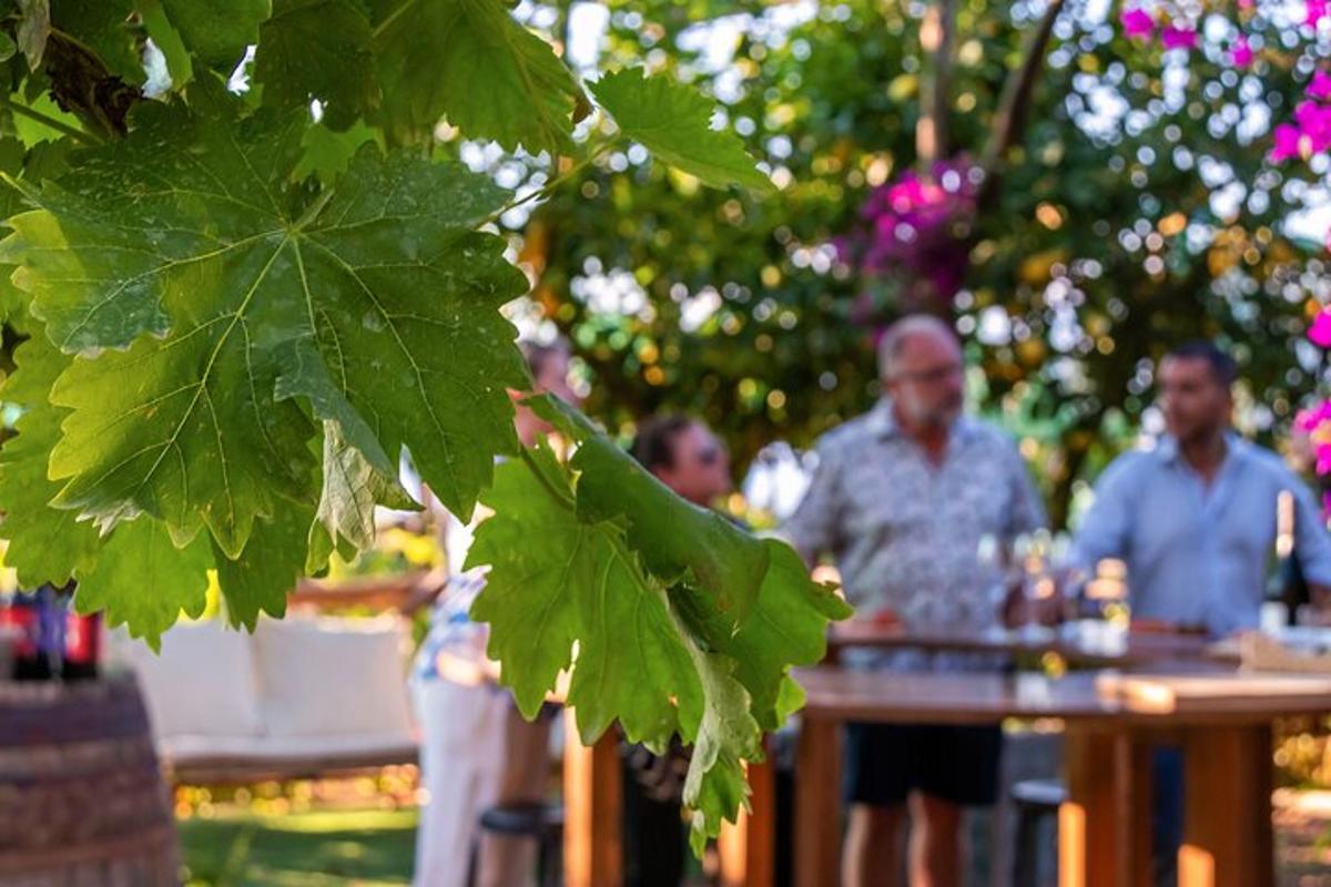 eine Gruppe von Menschen sitzt an einem Tisch in einem Garten