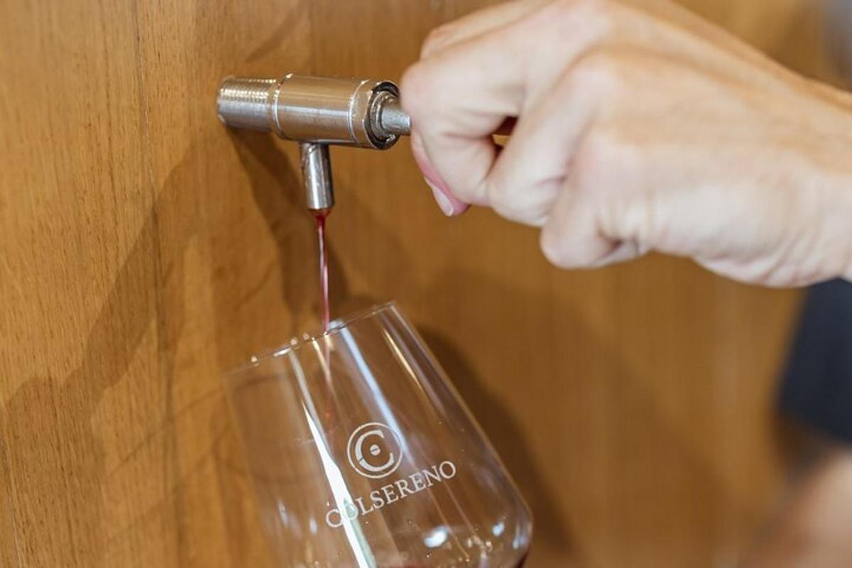 en person häller rött vin i ett glas