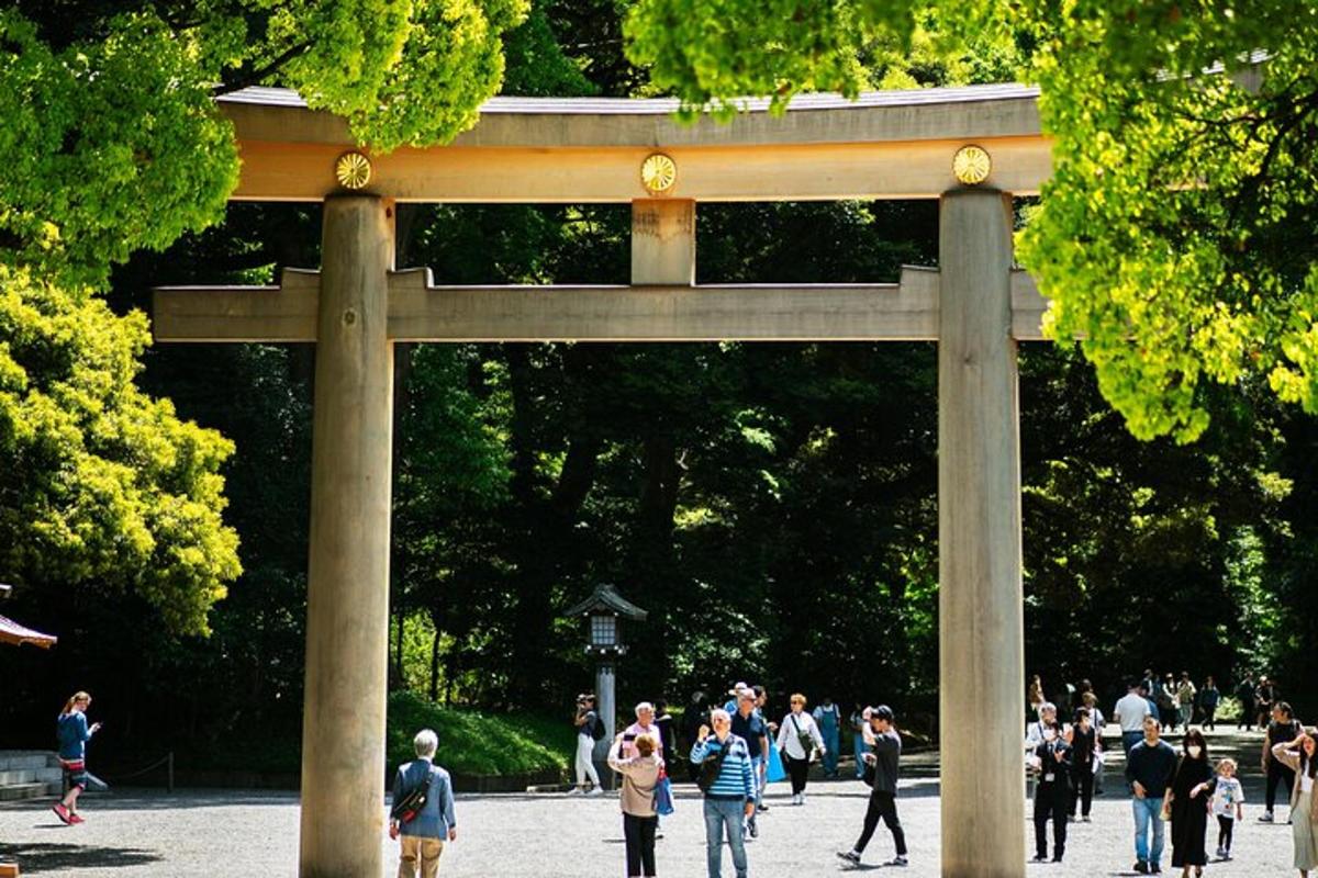 un gruppo di persone che camminano in un parco