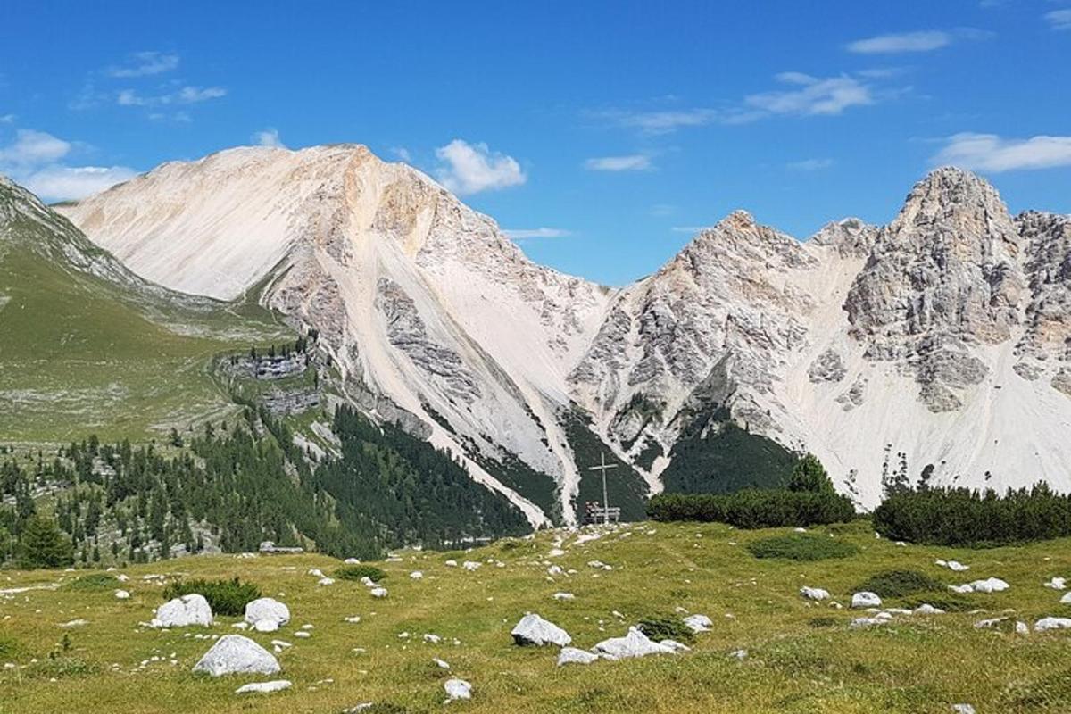 a mountain range with a grassy field with rocks