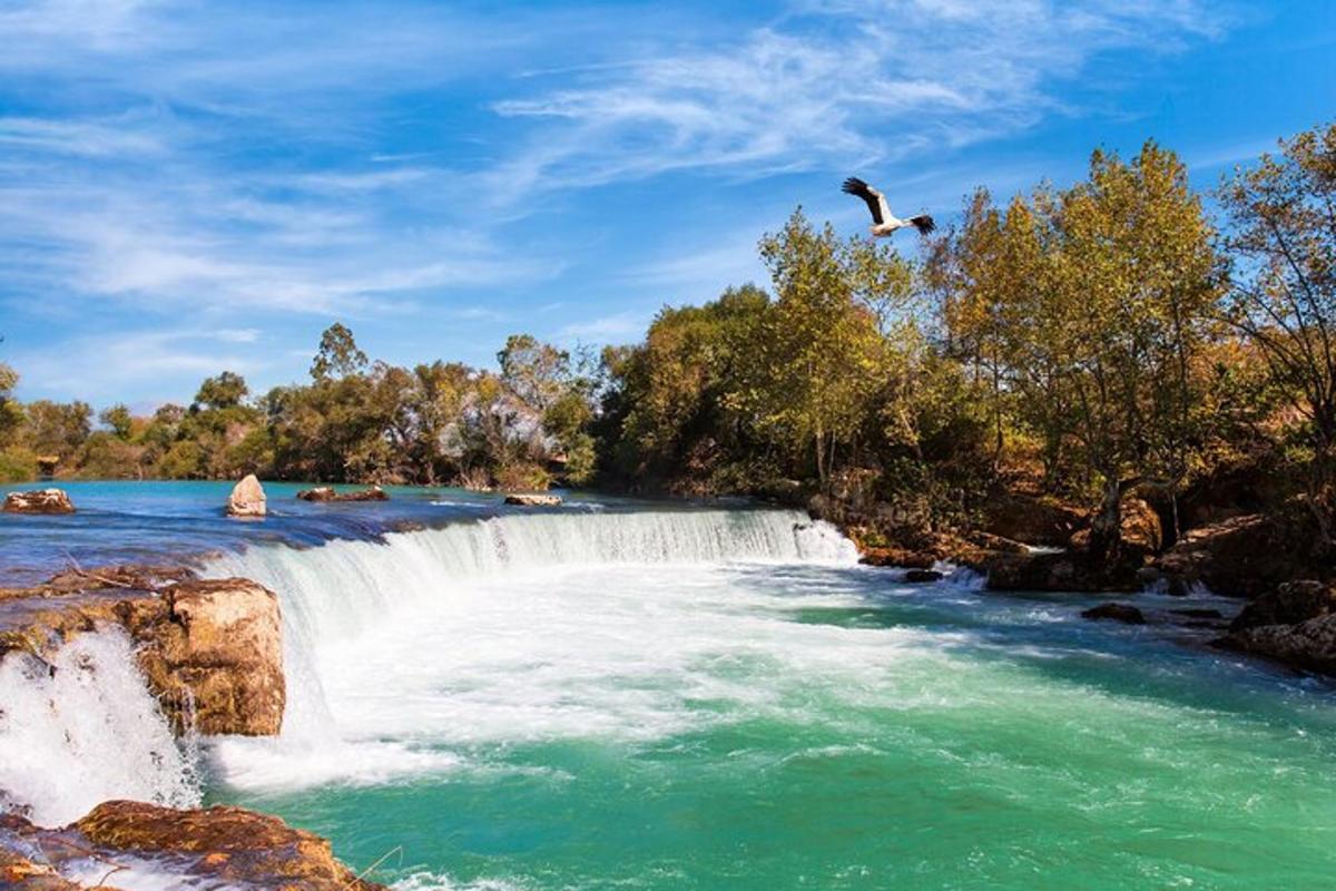 air terjun dan burung terbang di atas sungai