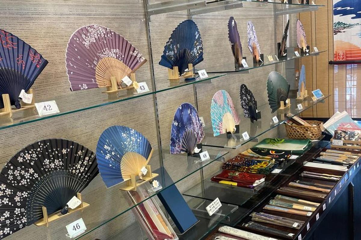 a display case with many different types of fans