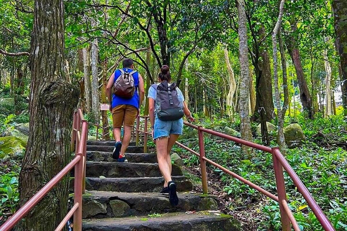 two people walking up some stairs in a forest
