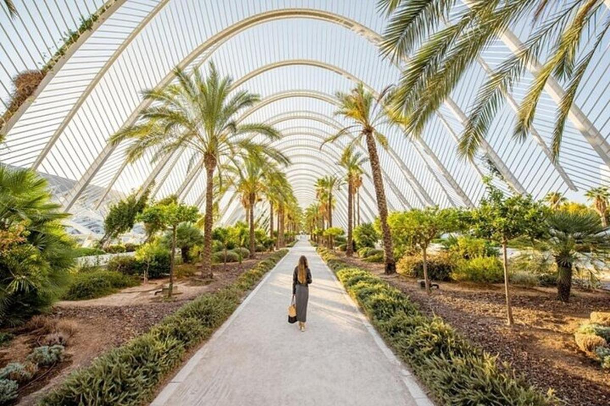 a woman walking down a path in a greenhouse with palm trees